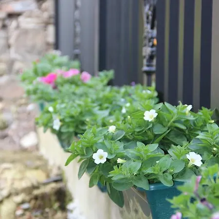 Casa De Aldea La Galea Venkovský dům *