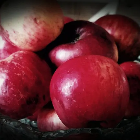 Venkovský dům Casa De Aldea La Galea *