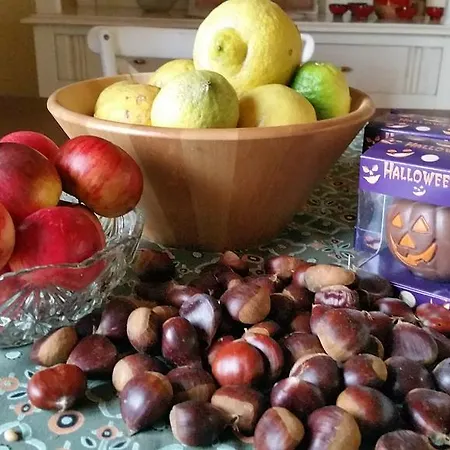 Casa De Aldea La Galea Vegadeo