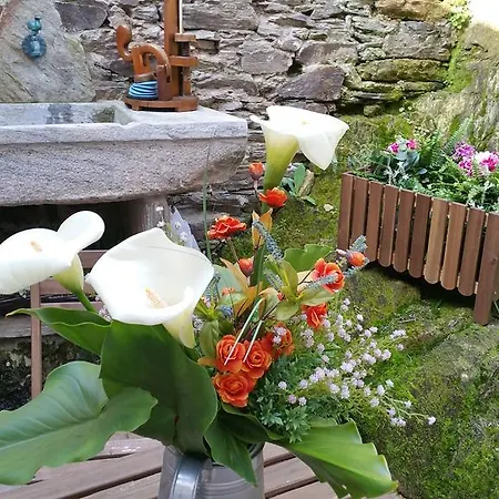 Casa De Aldea La Galea * Vegadeo